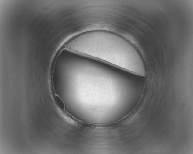X0000067500942200604071019
