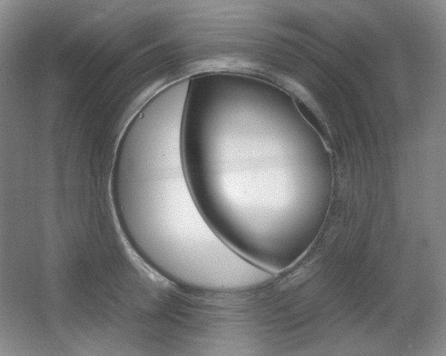X0000067500946200604071019