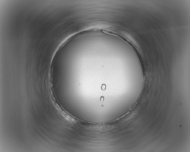 X0000067500948200604071019
