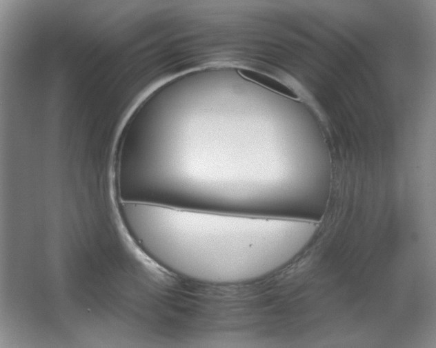 X0000067500955200604071020