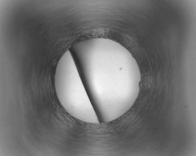X0000067500962200604071019