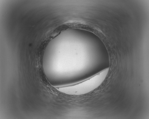 X0000067500965200604071019