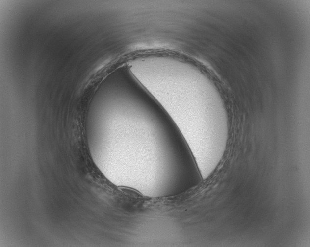 X0000067500967200604071019