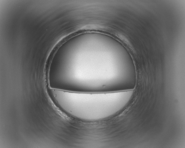 X0000067500976200604071019