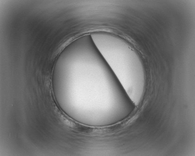 X0000067500985200604071018