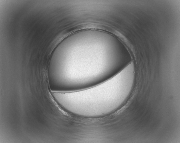 X0000067500993200604071018