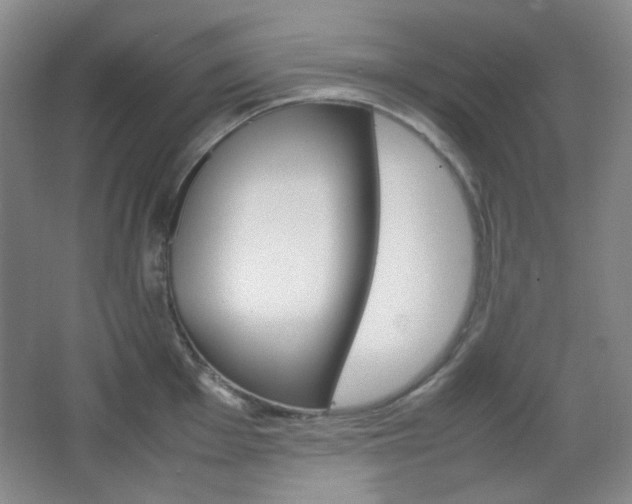 X0000067501001200604071018