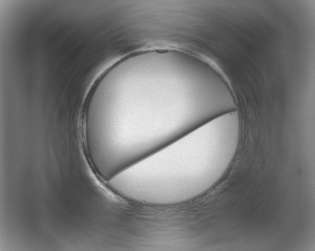 X0000067501003200604071018
