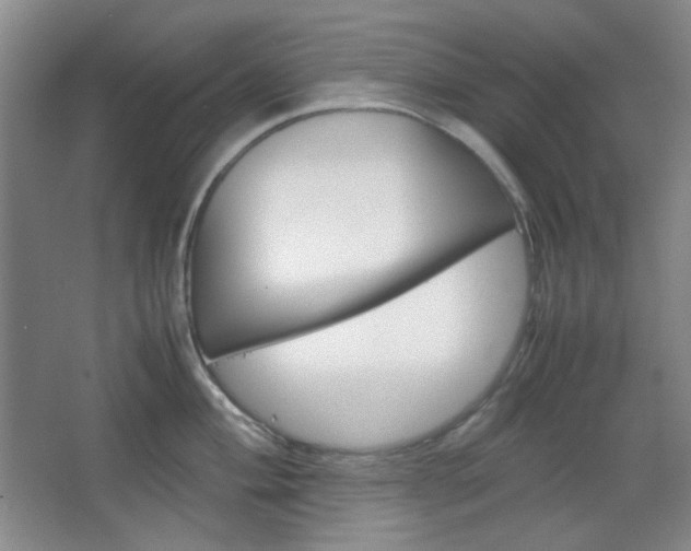 X0000067501004200604071018