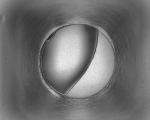 X0000067501005200604071018