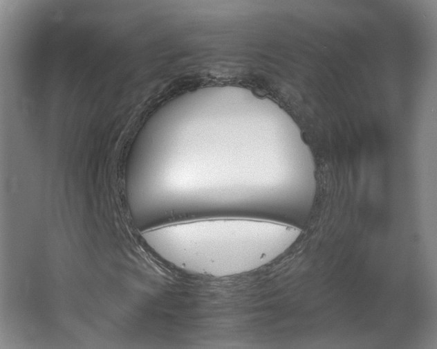 X0000067501009200604071017
