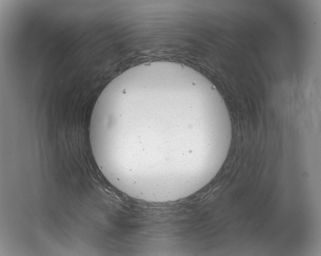 X0000067501010200604071017