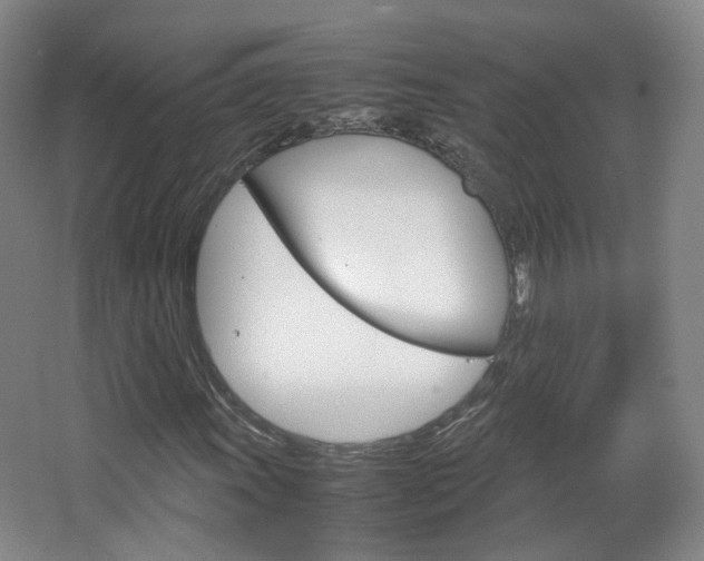 X0000067501011200604071017