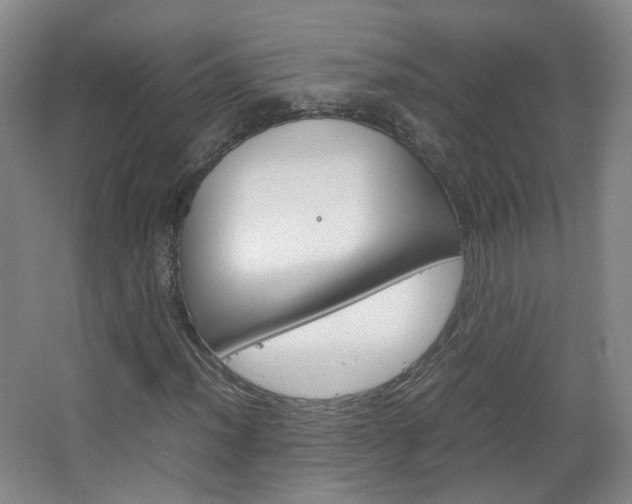 X0000067501012200604071017