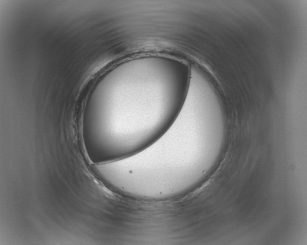 X0000067501018200604071017