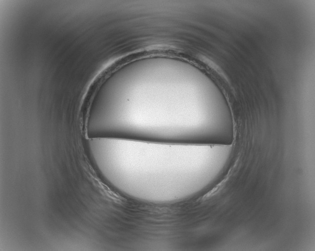 X0000067501021200604071017