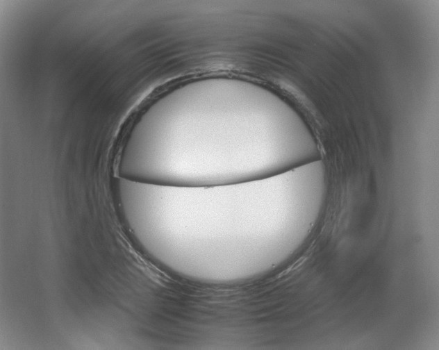 X0000067501023200604071017