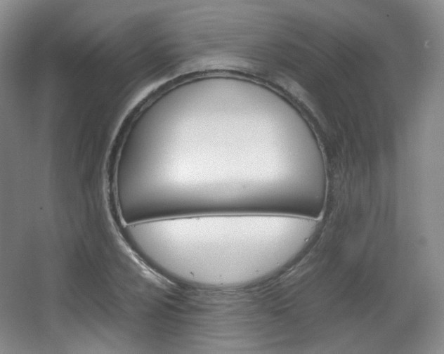 X0000067501024200604071018