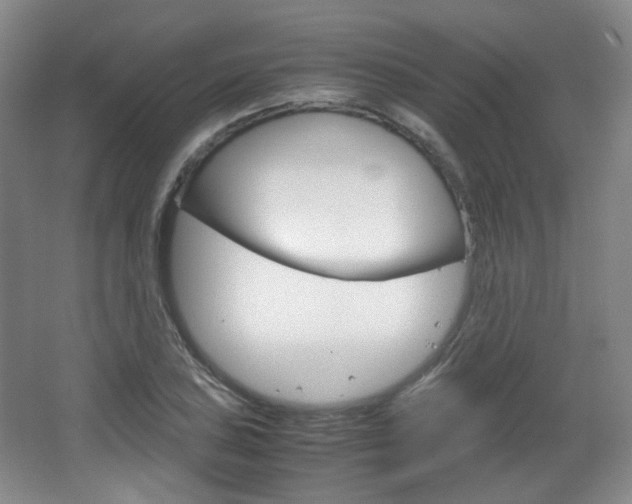 X0000067501027200604071018