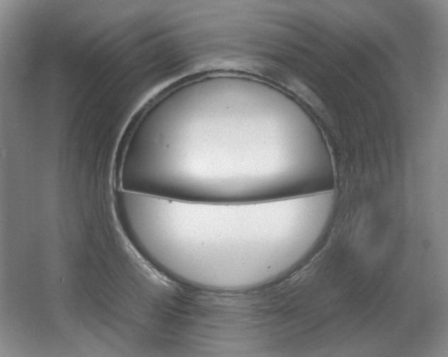 X0000067501028200604071018