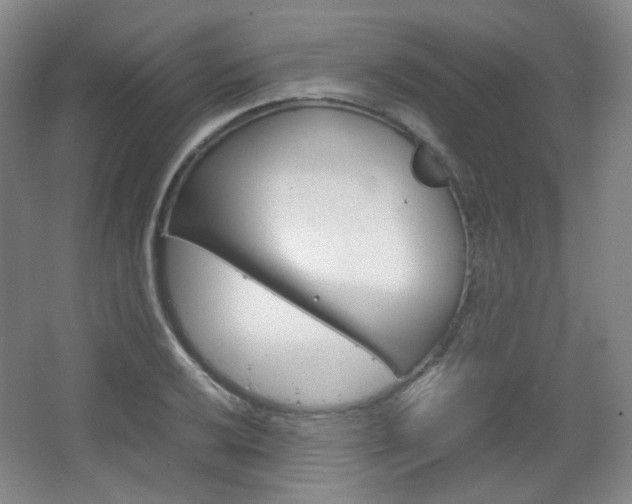 X0000067501032200604071018