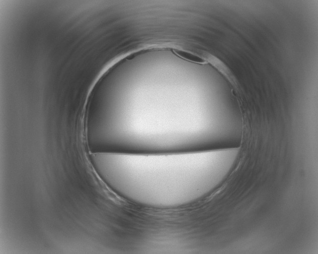 X0000067501052200604071018