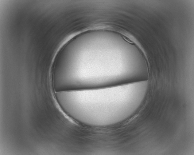 X0000067501053200604071018