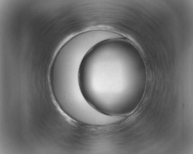 X0000067501054200604071018