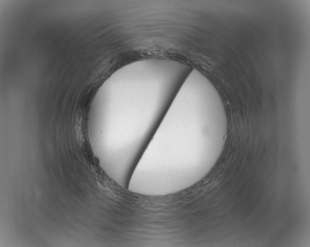 X0000067501060200604071017