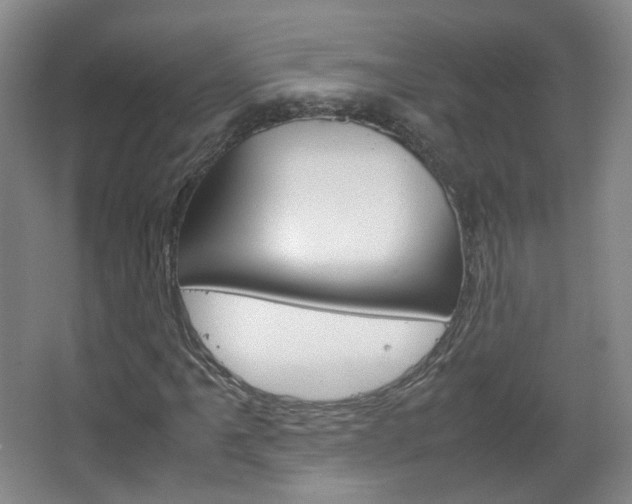X0000067501061200604071017