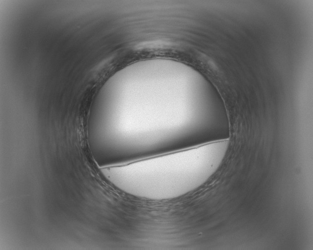 X0000067501062200604071017