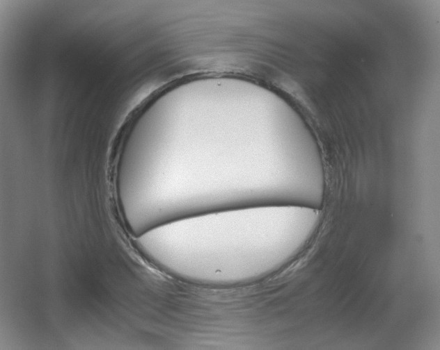 X0000067501071200604071017