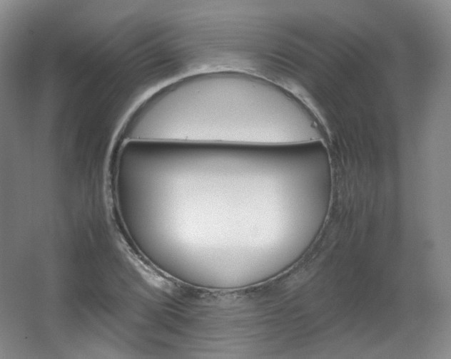 X0000067501072200604071017