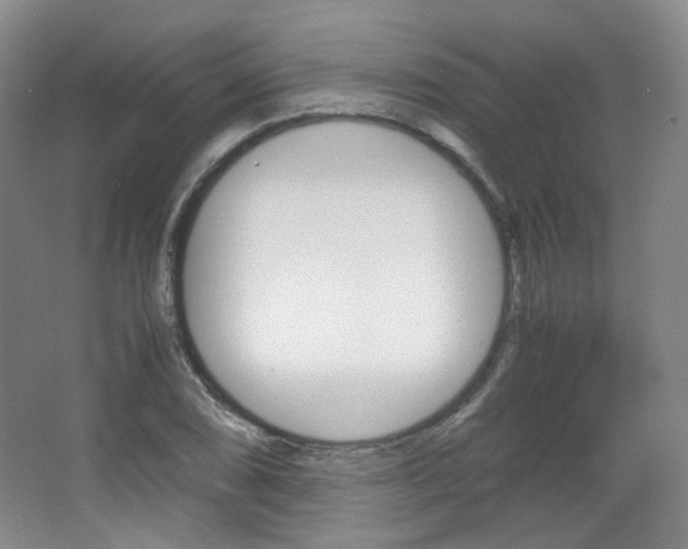 X0000067501074200604071017