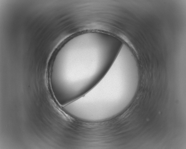 X0000067501076200604071017