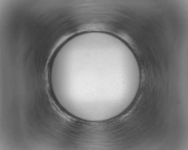 X0000067501078200604071017