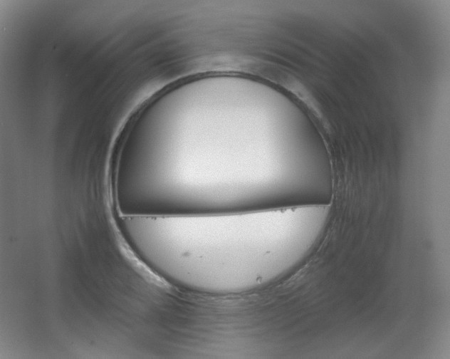 X0000067501080200604071017