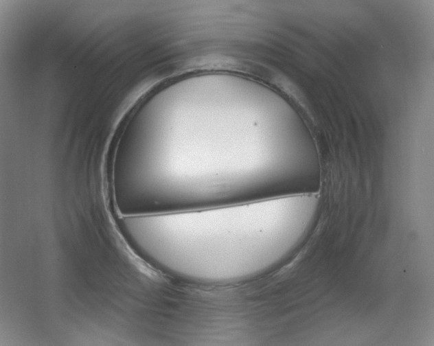 X0000067501082200604071017
