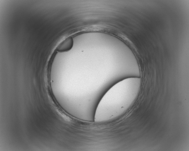 X0000067501083200604071017