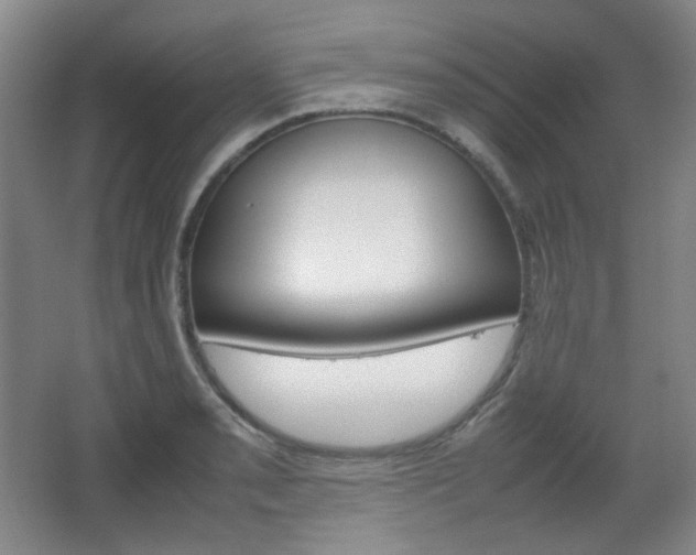 X0000067501085200604071017