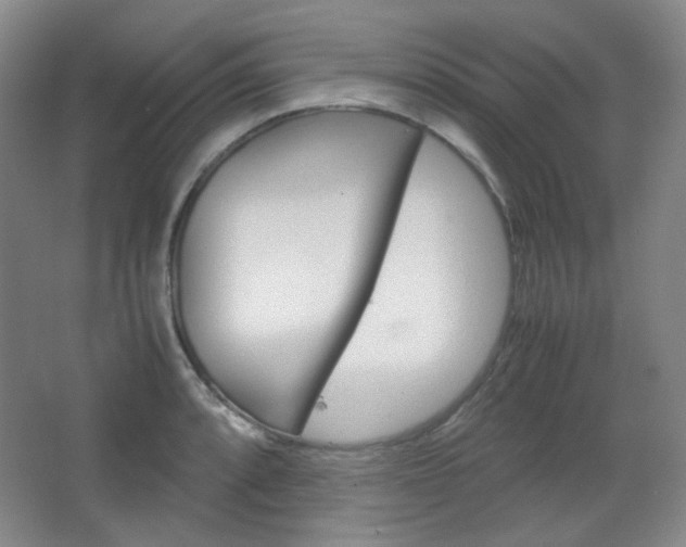 X0000067501088200604071017