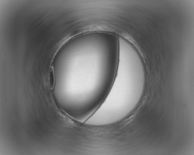 X0000067501089200604071017
