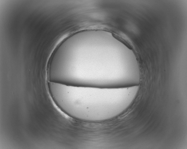 X0000067501095200604071017