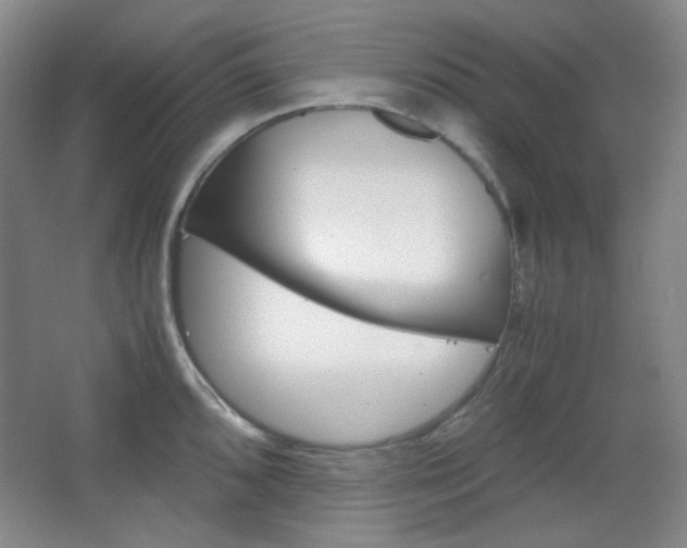 X0000067501096200604071017