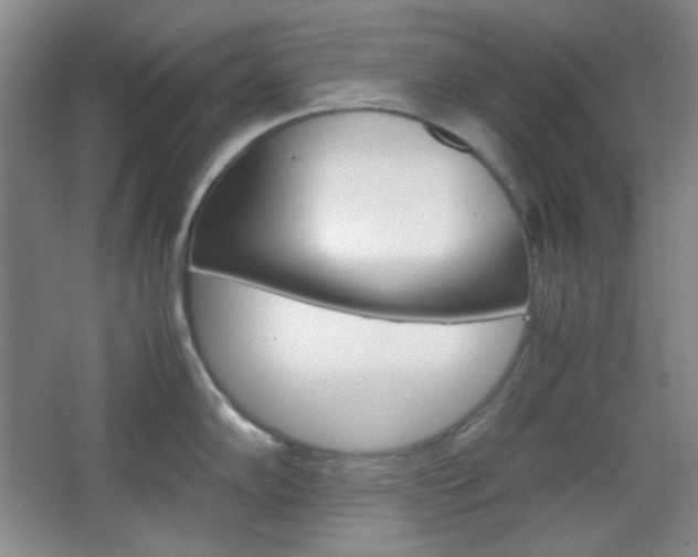 X0000067501102200604071016