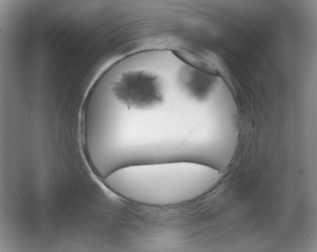 X0000067501103200604071016