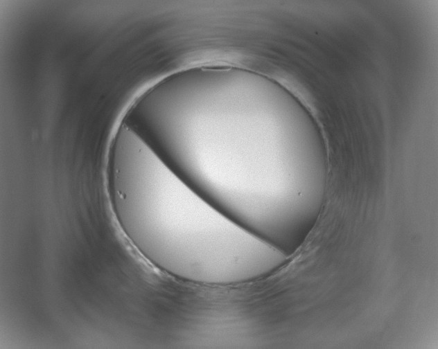 X0000067501104200604071016