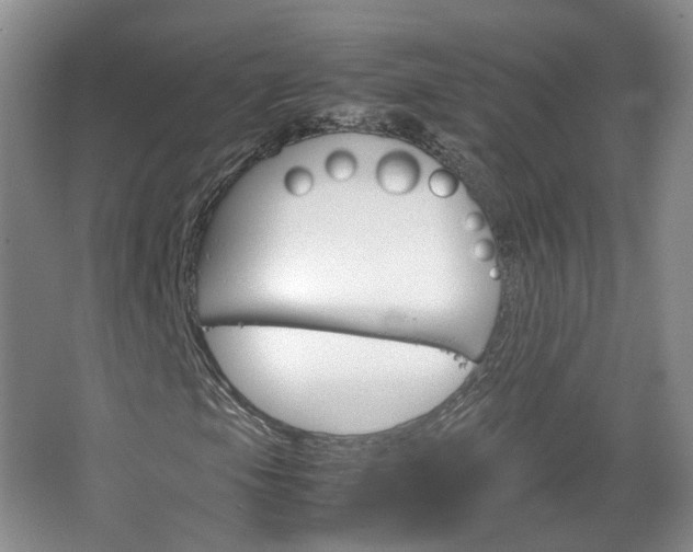X0000067501105200604071016