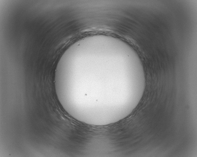 X0000067501110200604071016