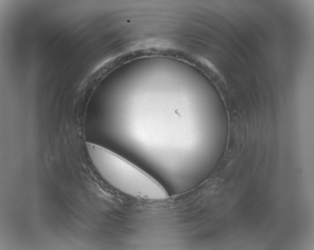 X0000067501112200604071016